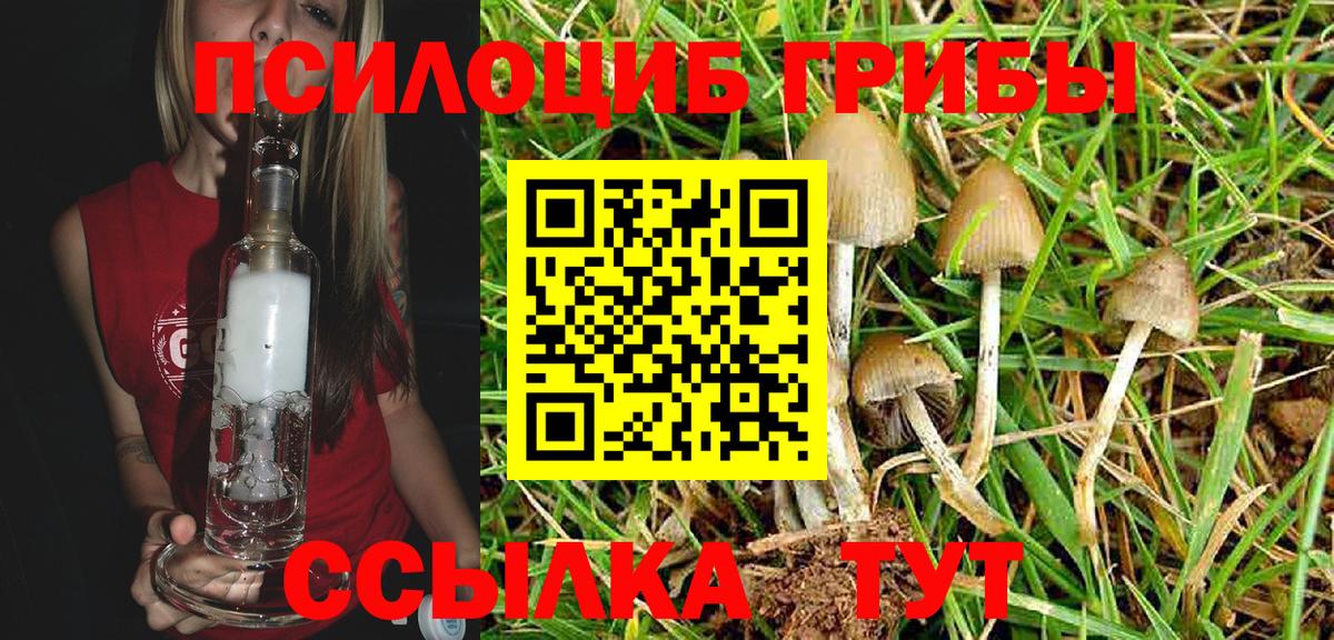 Псилоцибиновые грибы GOLDEN TEACHER Чебоксары