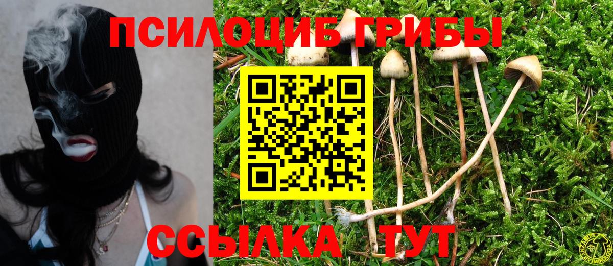 Галлюциногенные грибы Psilocybe  Вход с VPN  Чебоксары  Галлюциногенные грибы MAGIC MUSHROOMS 